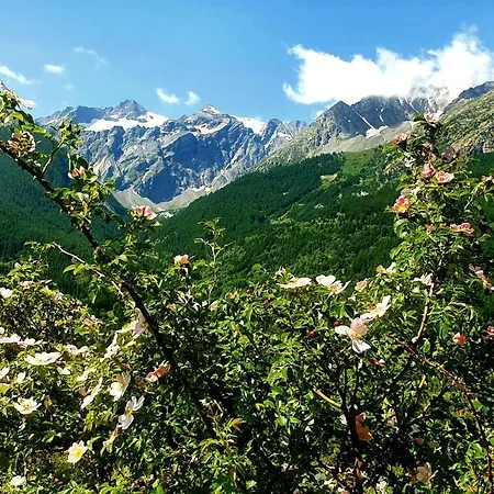 Apartment Studio Chaleureux Station De Serre Chevalier 1200 Briancon (Hautes-Alpes)